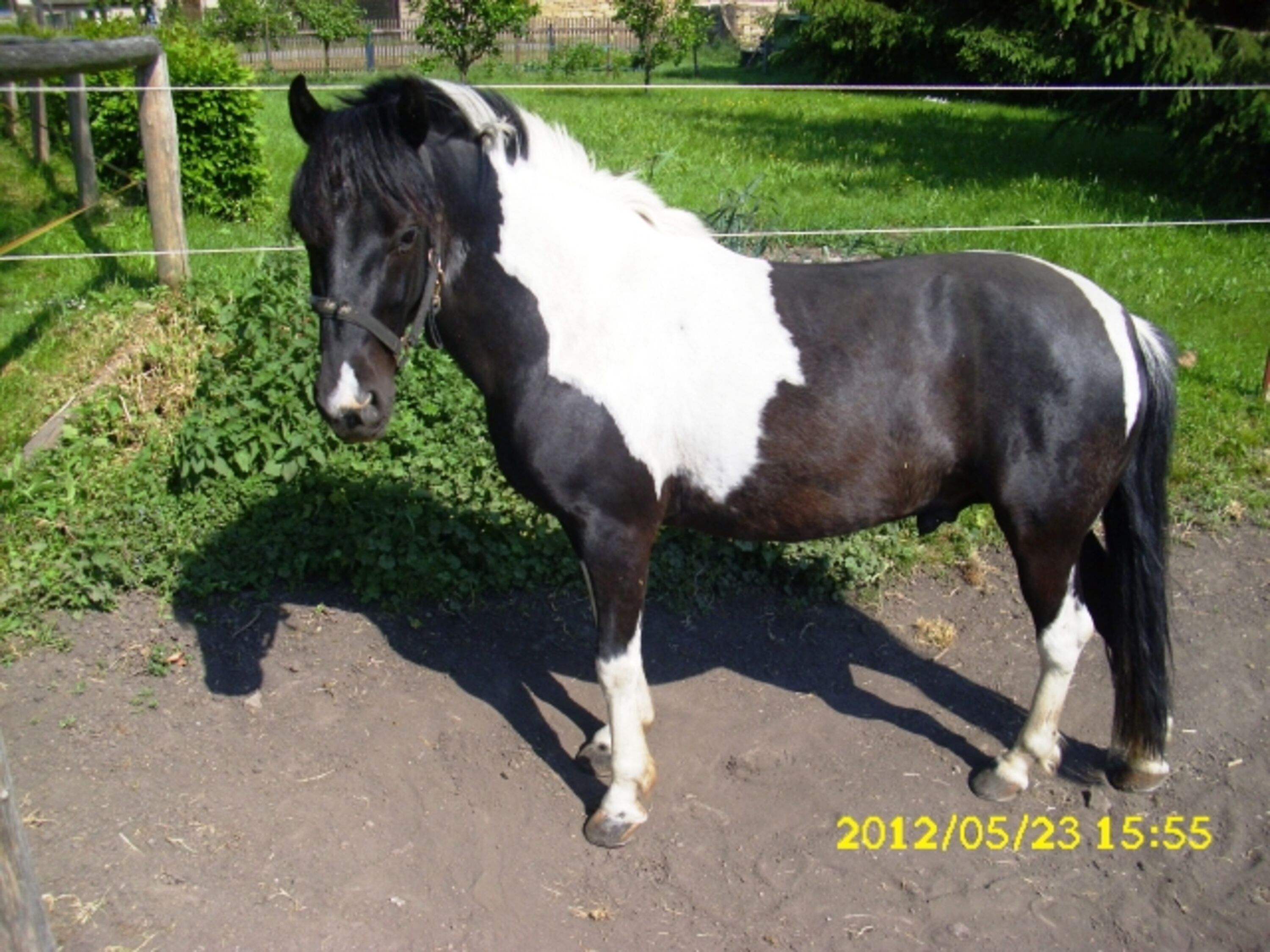 Bild 28