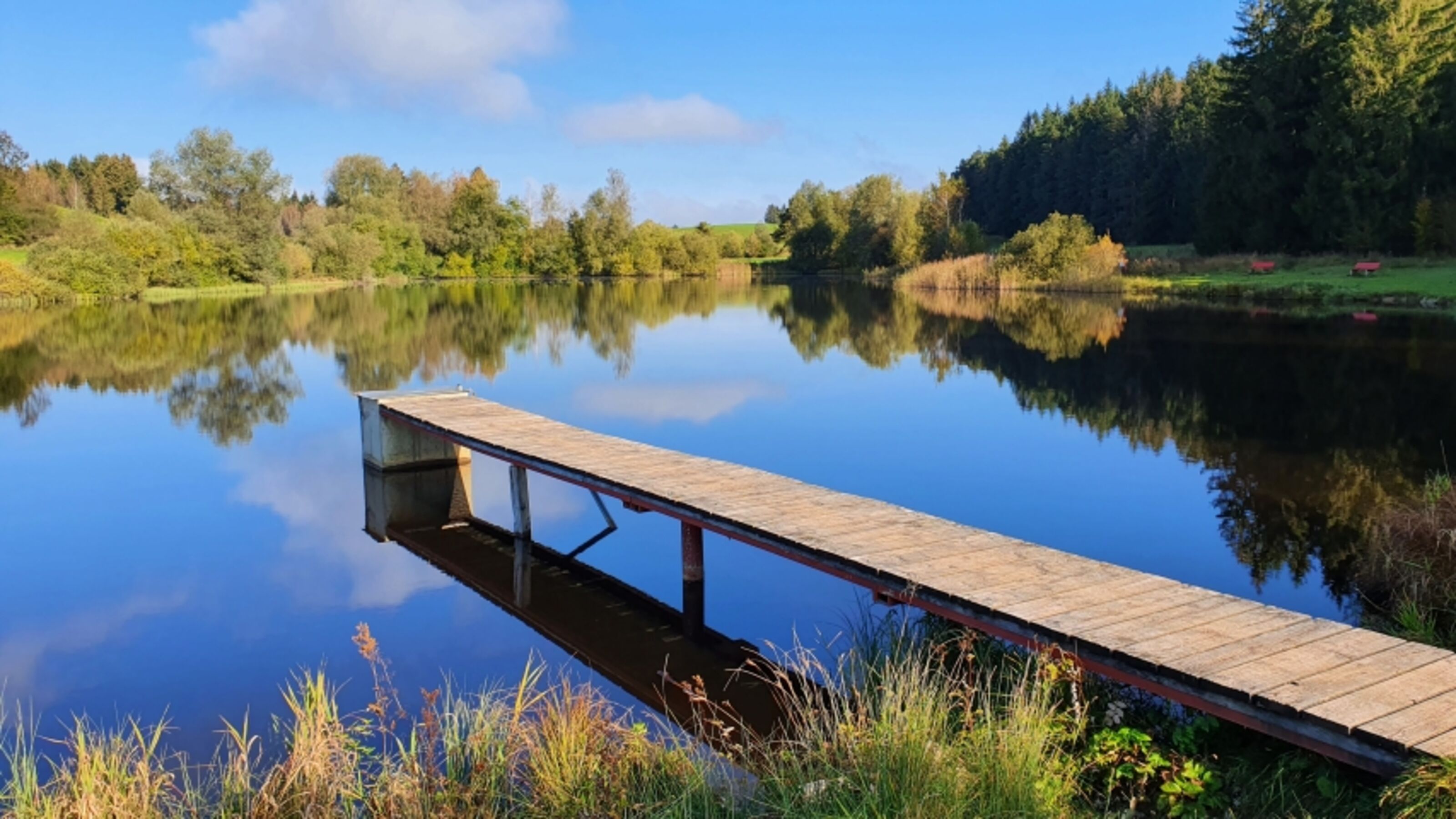 Baderwäldlesee