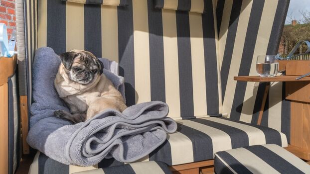 Hunde sind uns willkommen