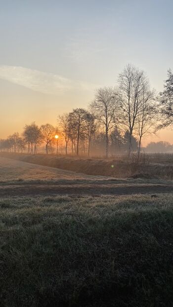 Die Zufahrt bei Frost