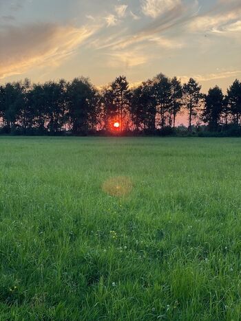 Sonnenuntergang hinterm Haus