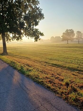 Frisch abgeerntete Wiese im Herbsttau