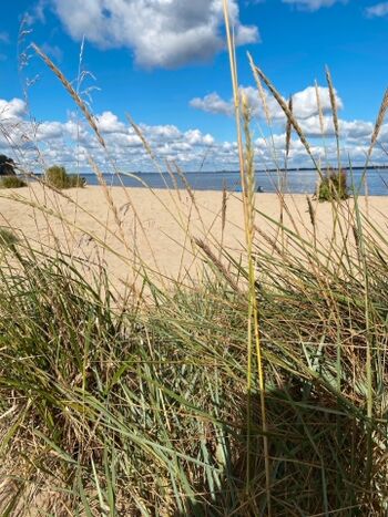 Elbstrand auf Krautsand