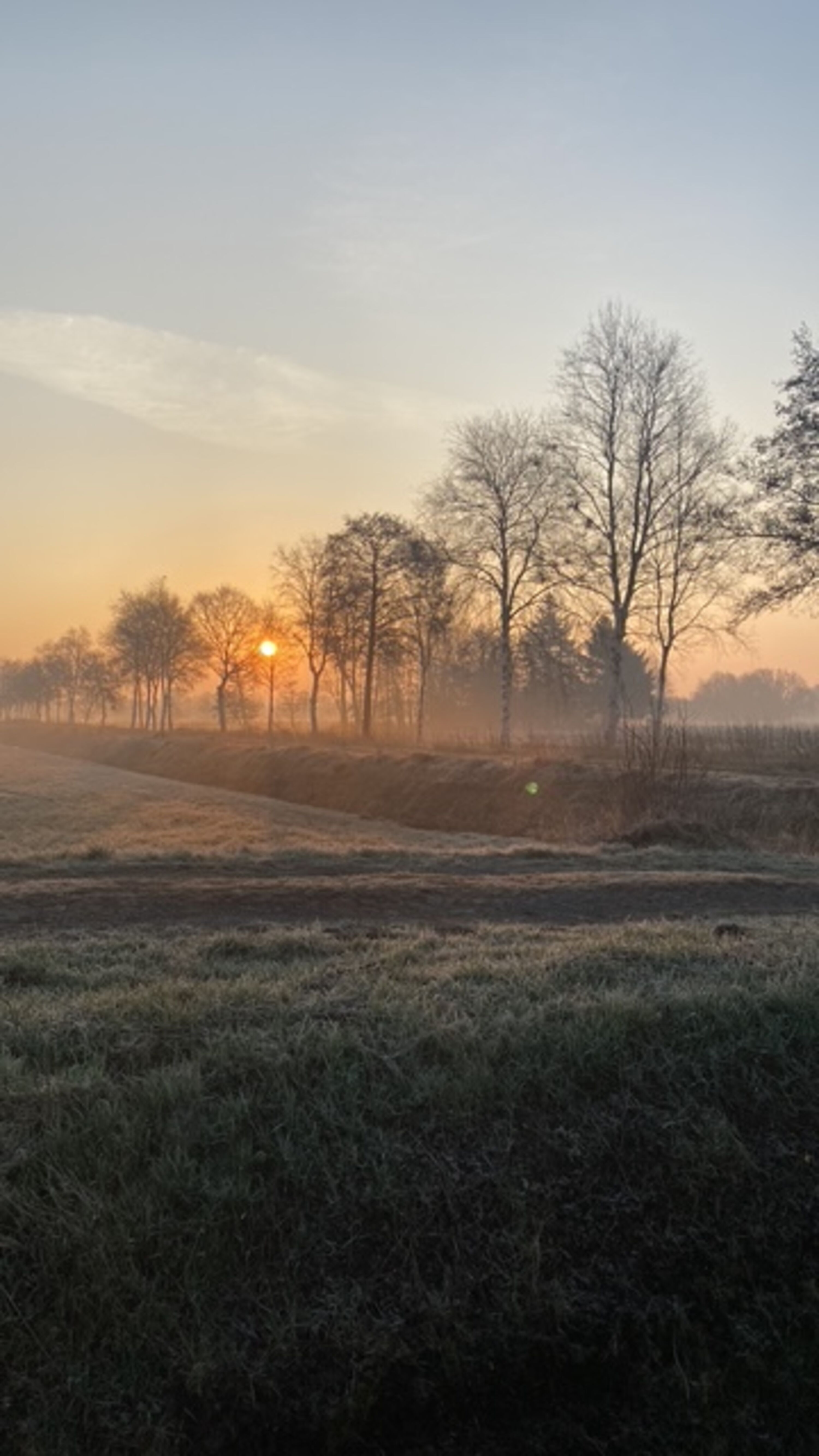 Die Zufahrt bei Frost