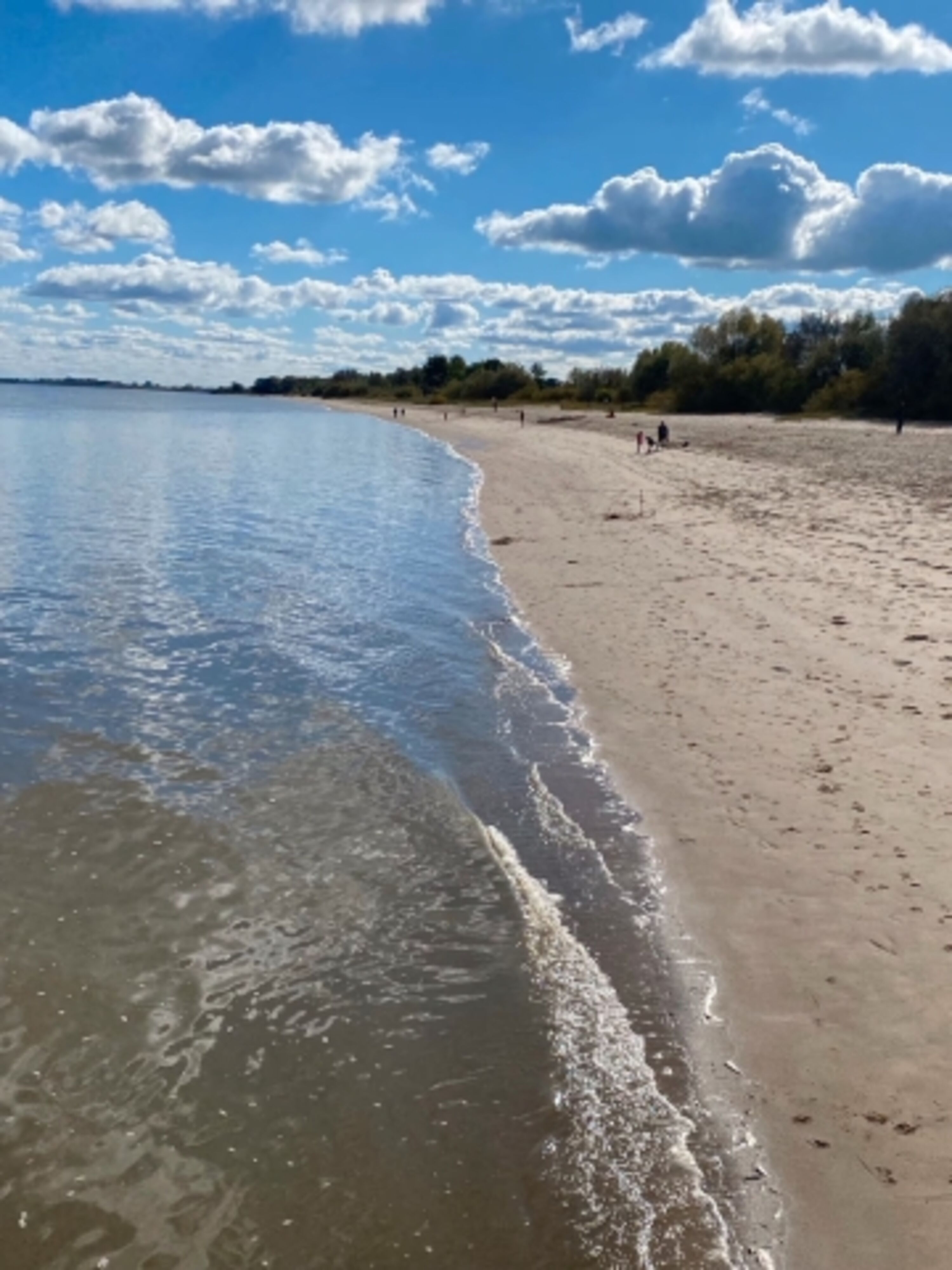 Elbstrand auf Krautsand