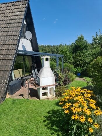 Blütenpracht im Spätsommer