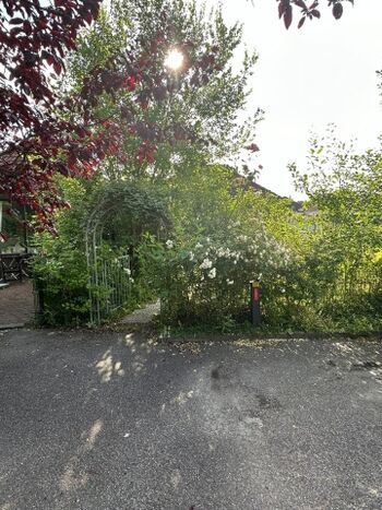 Parkplatz vor der Unterkunft.