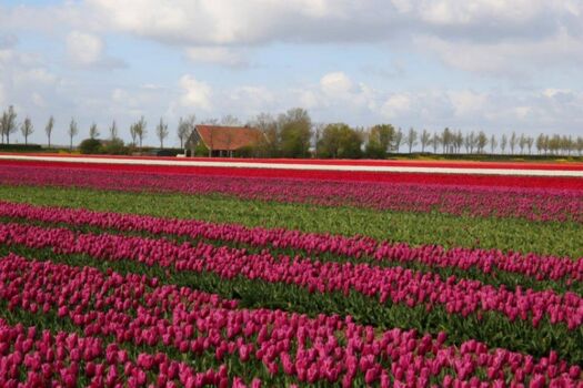 Impressionen Umgebung