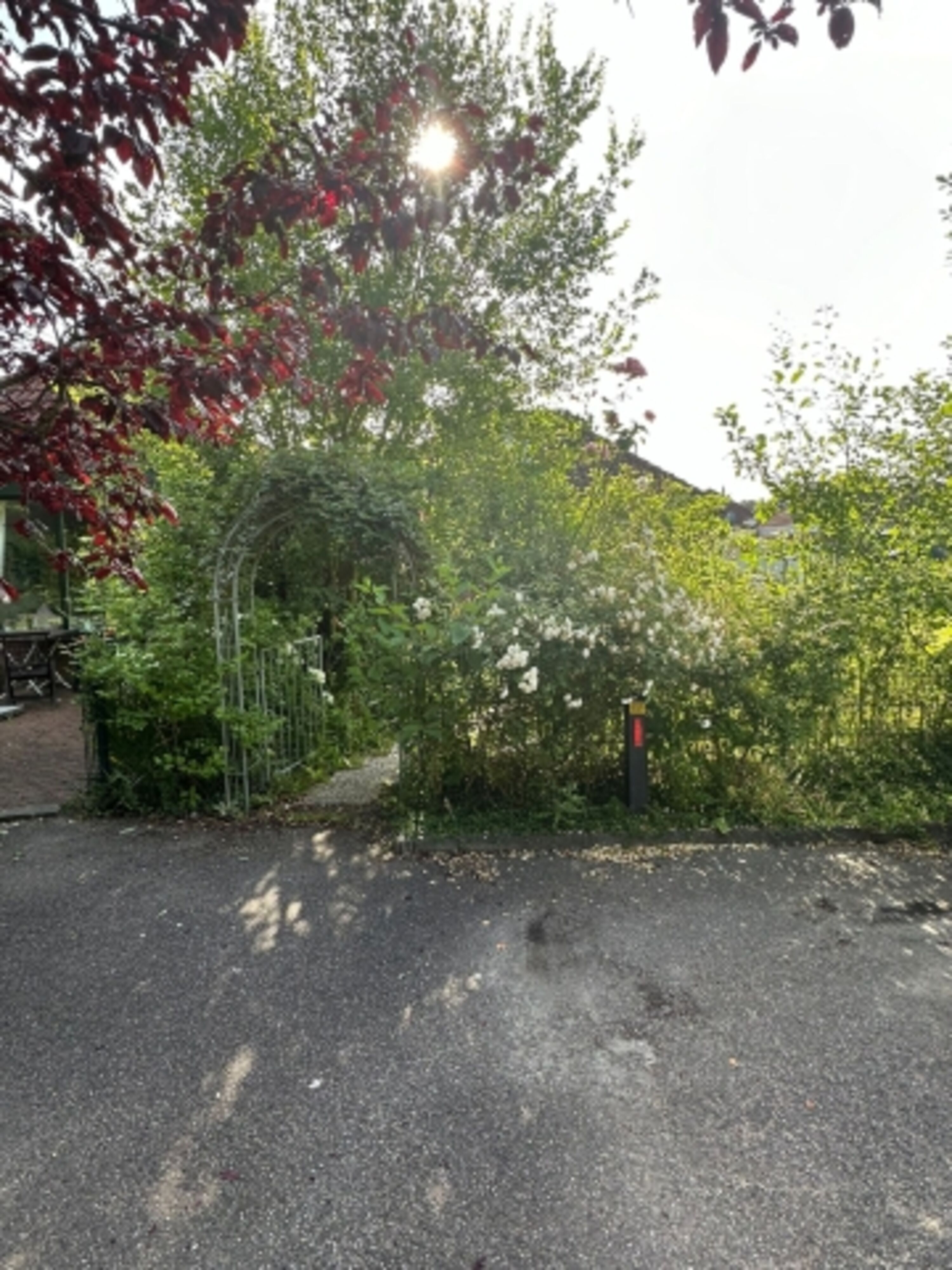 Parkplatz vor der Unterkunft.