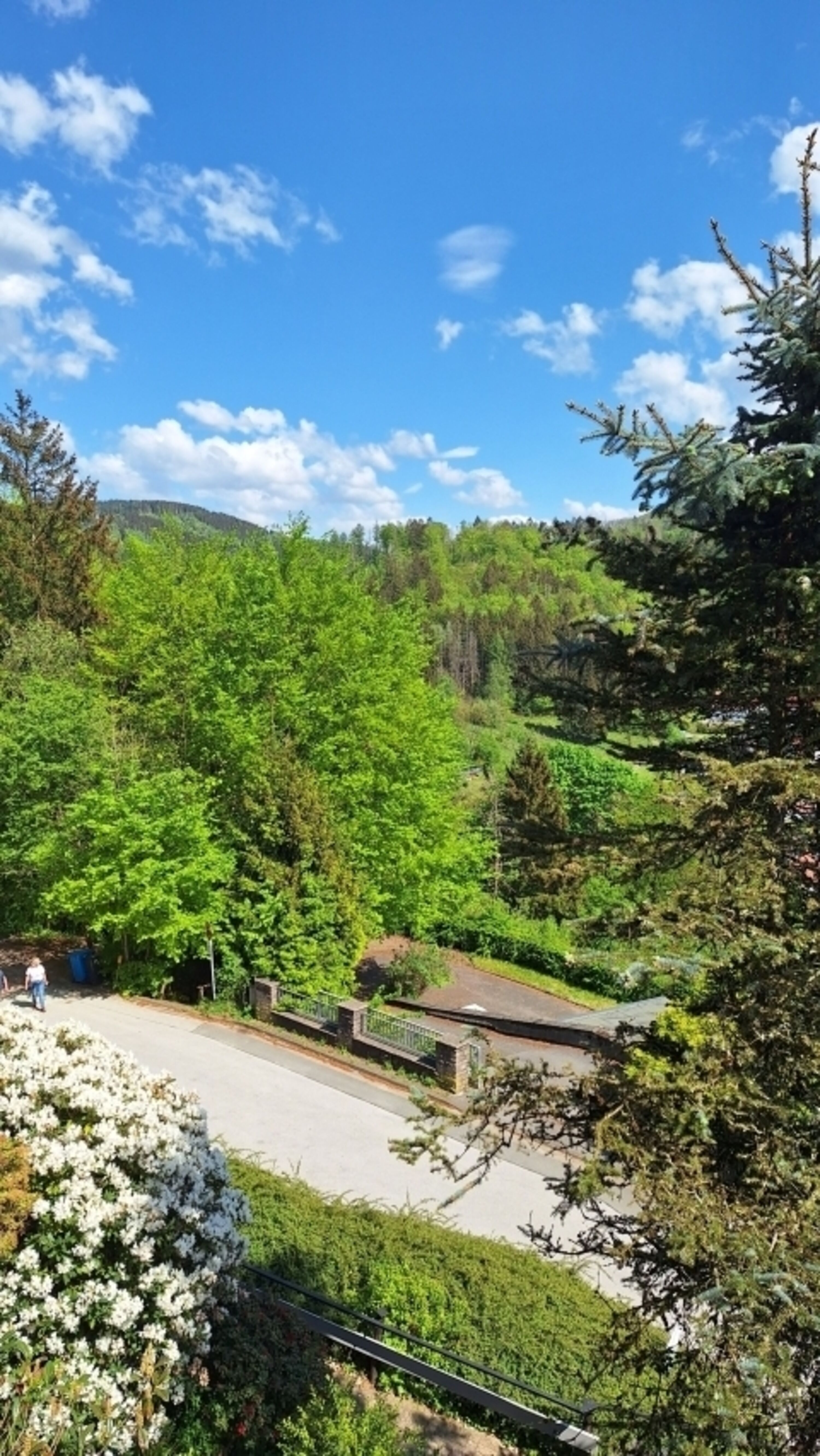 Bild 11