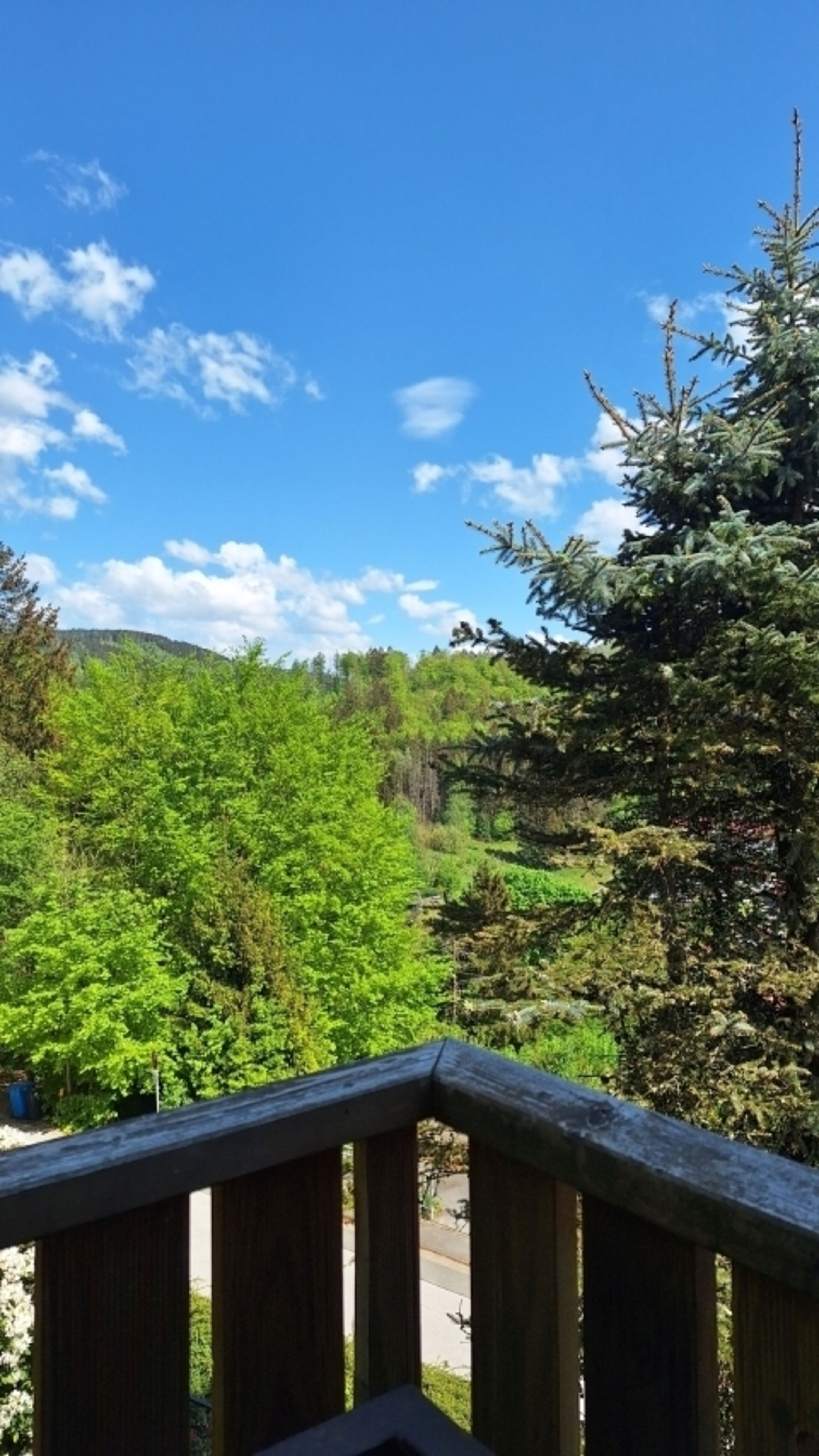 Blick vom Balkon
