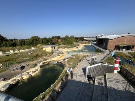 Die nahegelegene Seehundstation