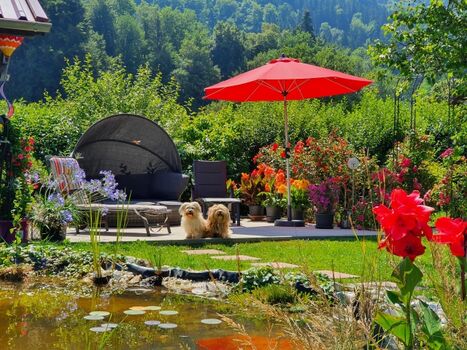 der Gemeinschaftsgarten