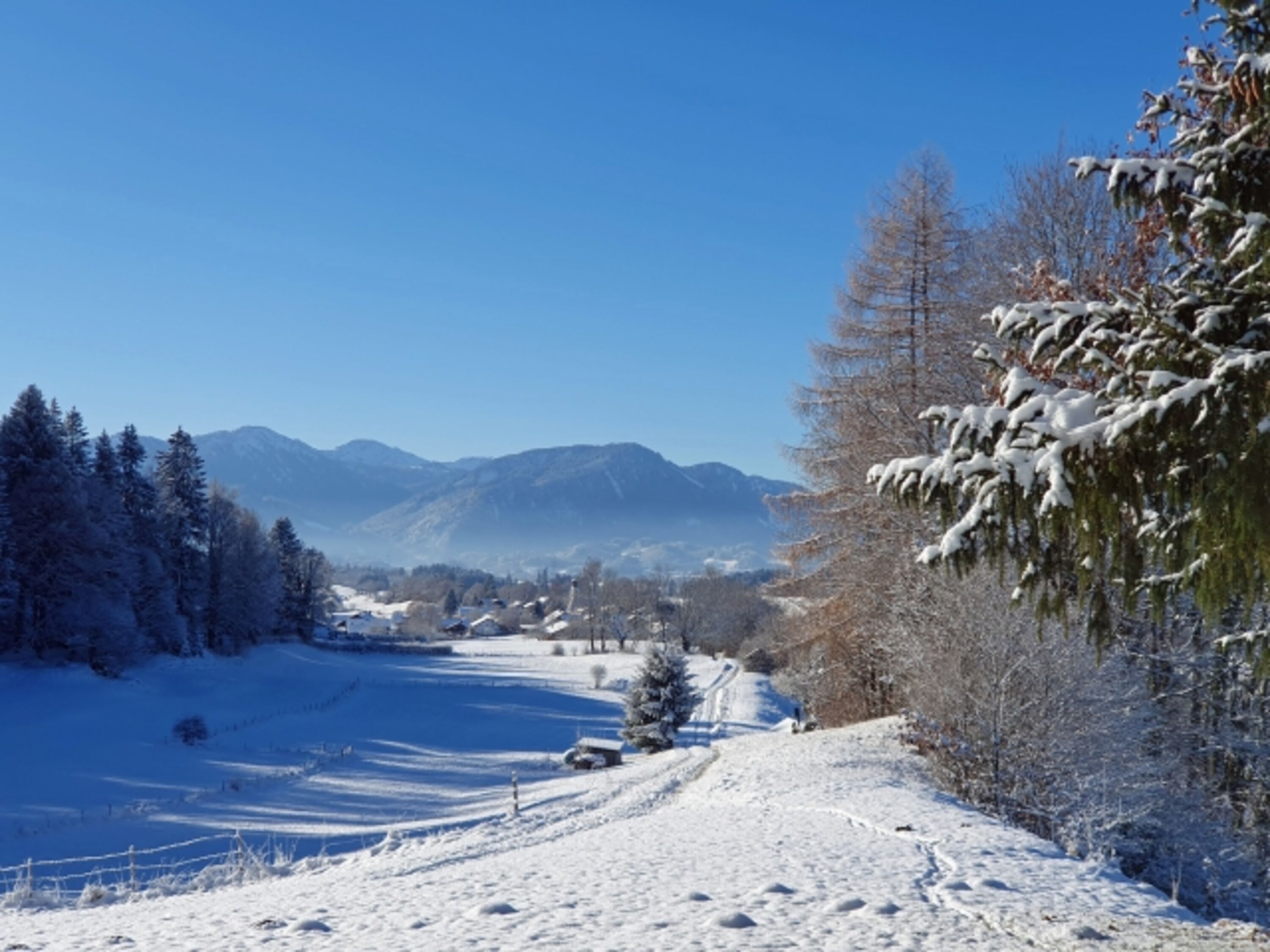 Winterspaß
