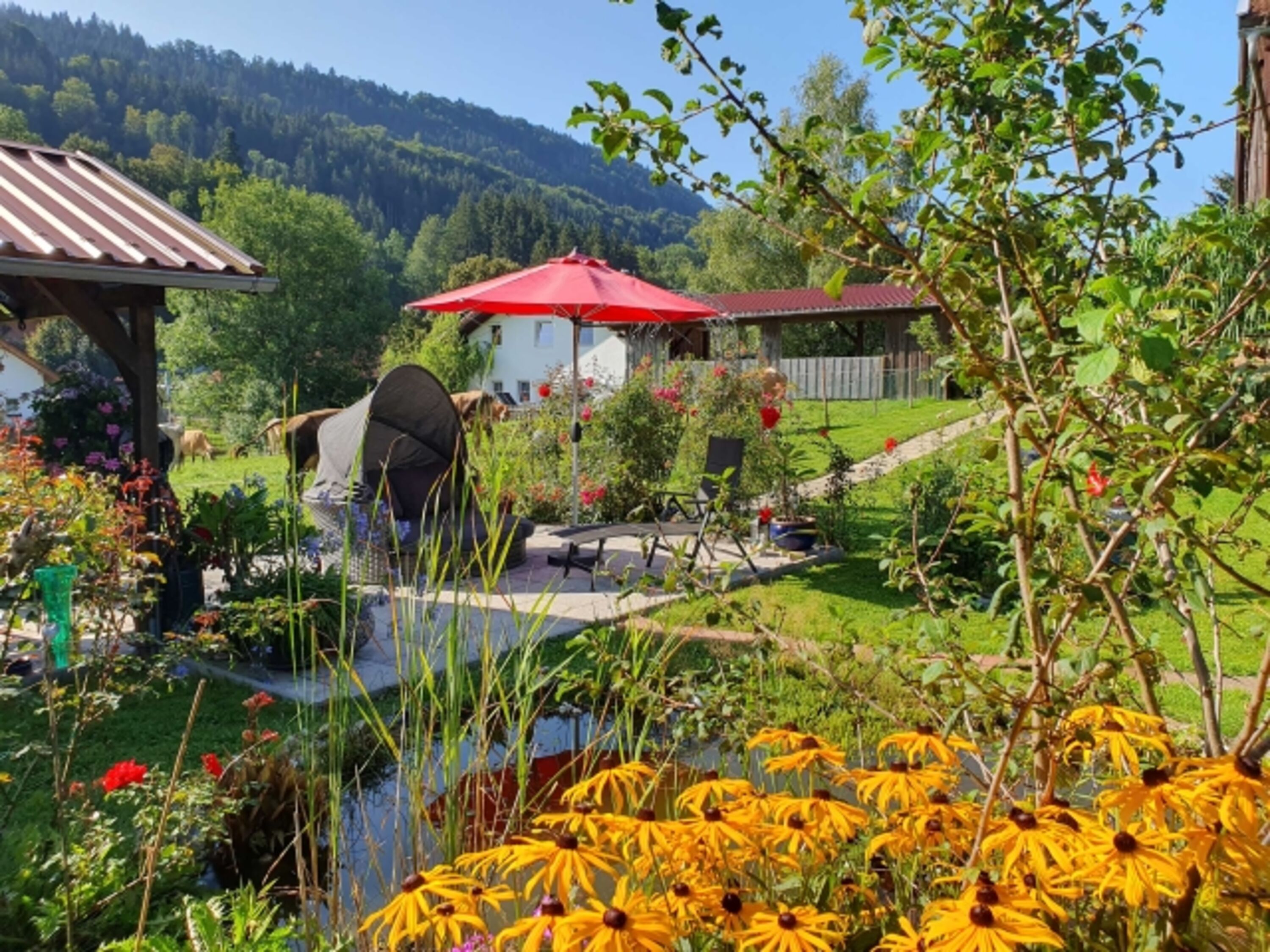 ein Tag im Garten