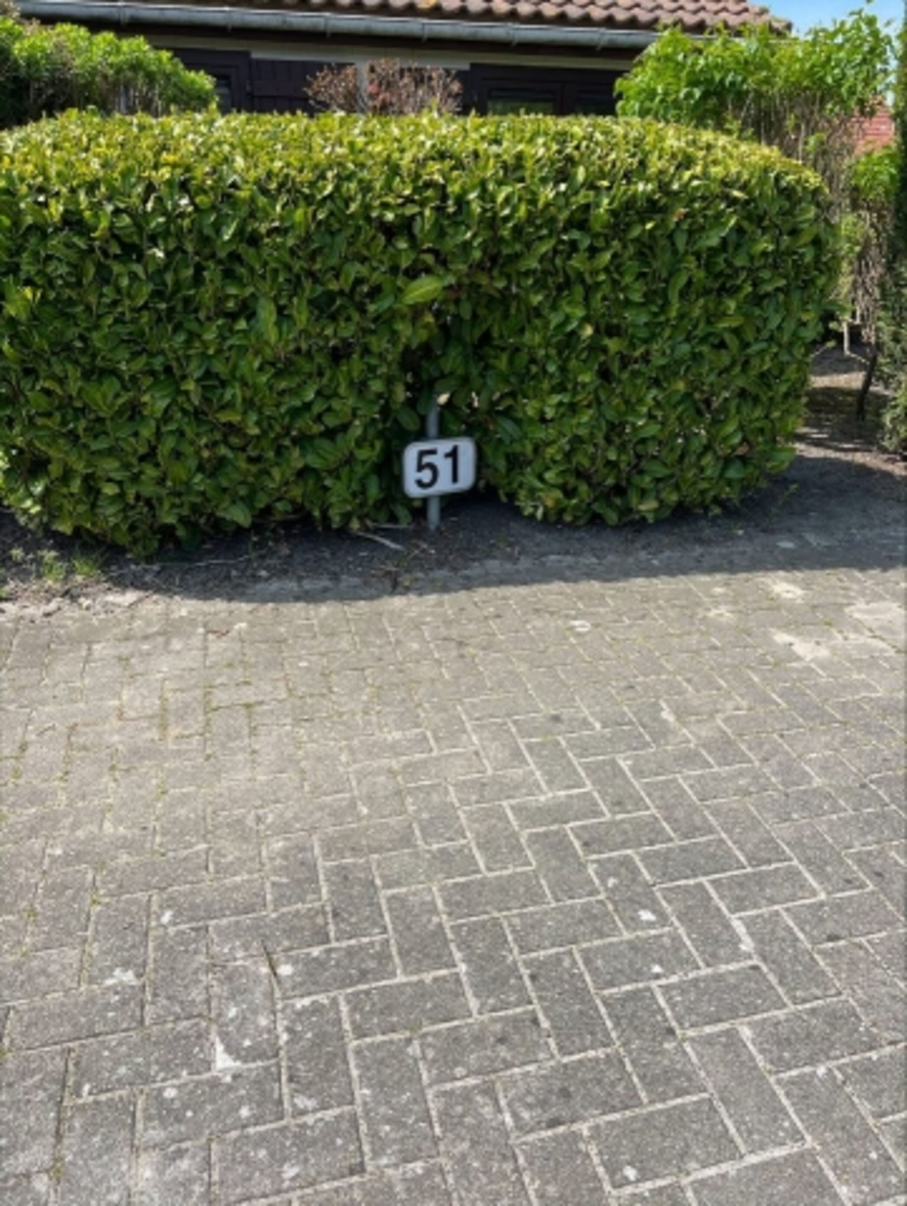 Bild 19
