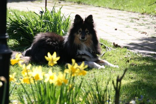 Osterzeit mit Hausdame