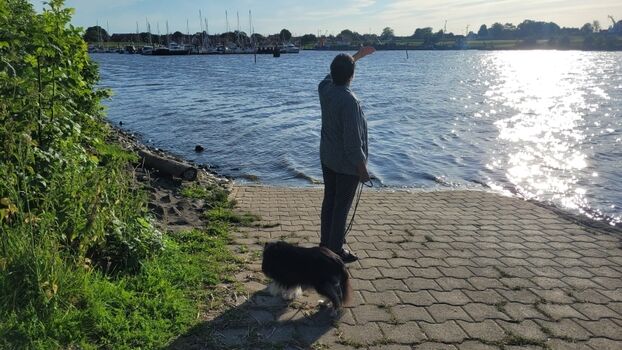 Yachthafen Blick nach Greetsieler Hafen