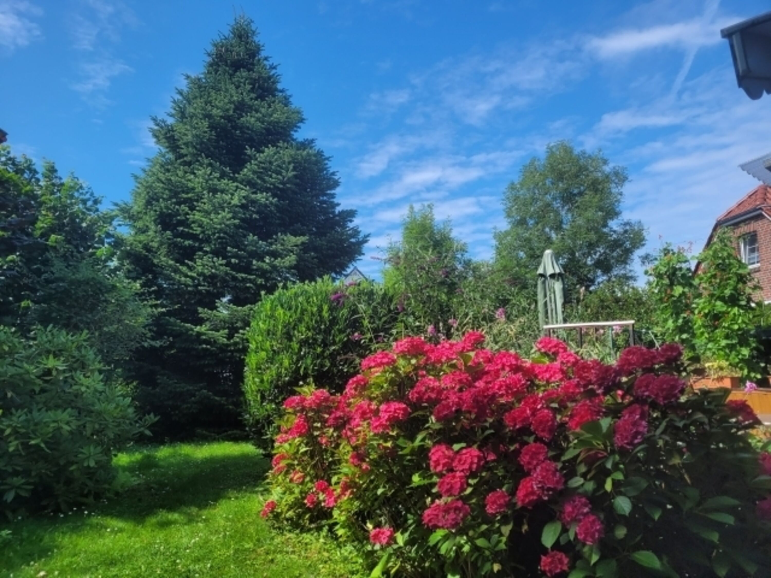 Garten im Sommer