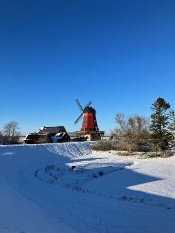 Außenaufnahme der Mühle