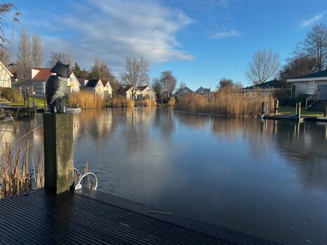 Blick vom eigenen Bootssteg