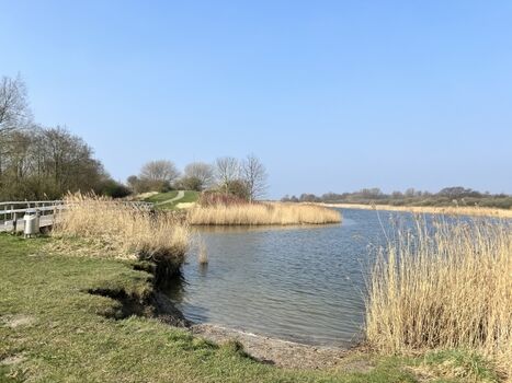 erfrischende Hundebadestellen im  Hundeauslauf