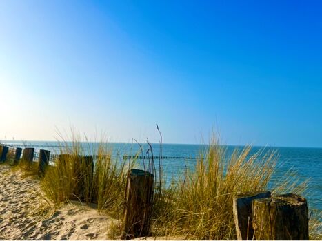 langer Sandstrand lädt zum spazieren und die Promenade zum Radfahren ein