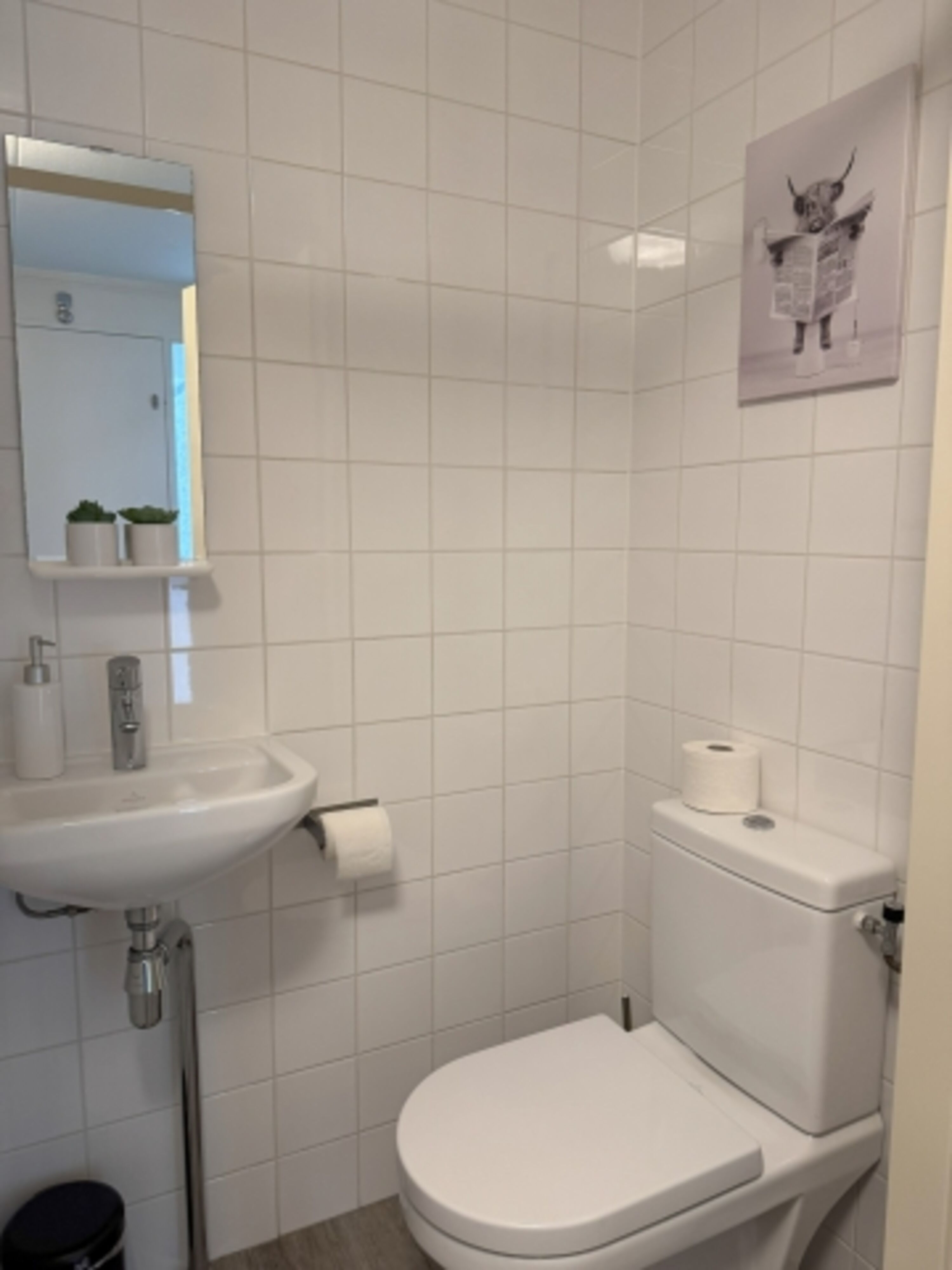 Bild 12