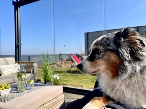 hier können Mensch und Tier ausspannen