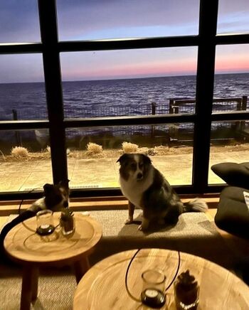 und der Blick ist zu jeder Tageszeit der Hammer