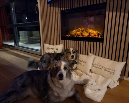 der eKamin im Wohnzimmer sorgt für Athmosphäre