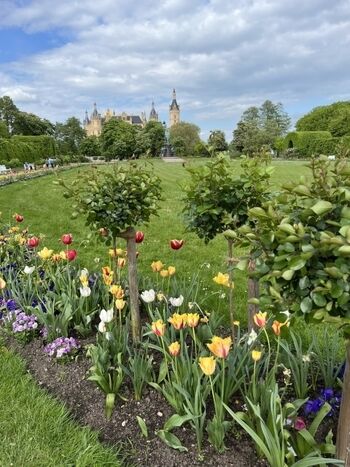 Schlossgarten