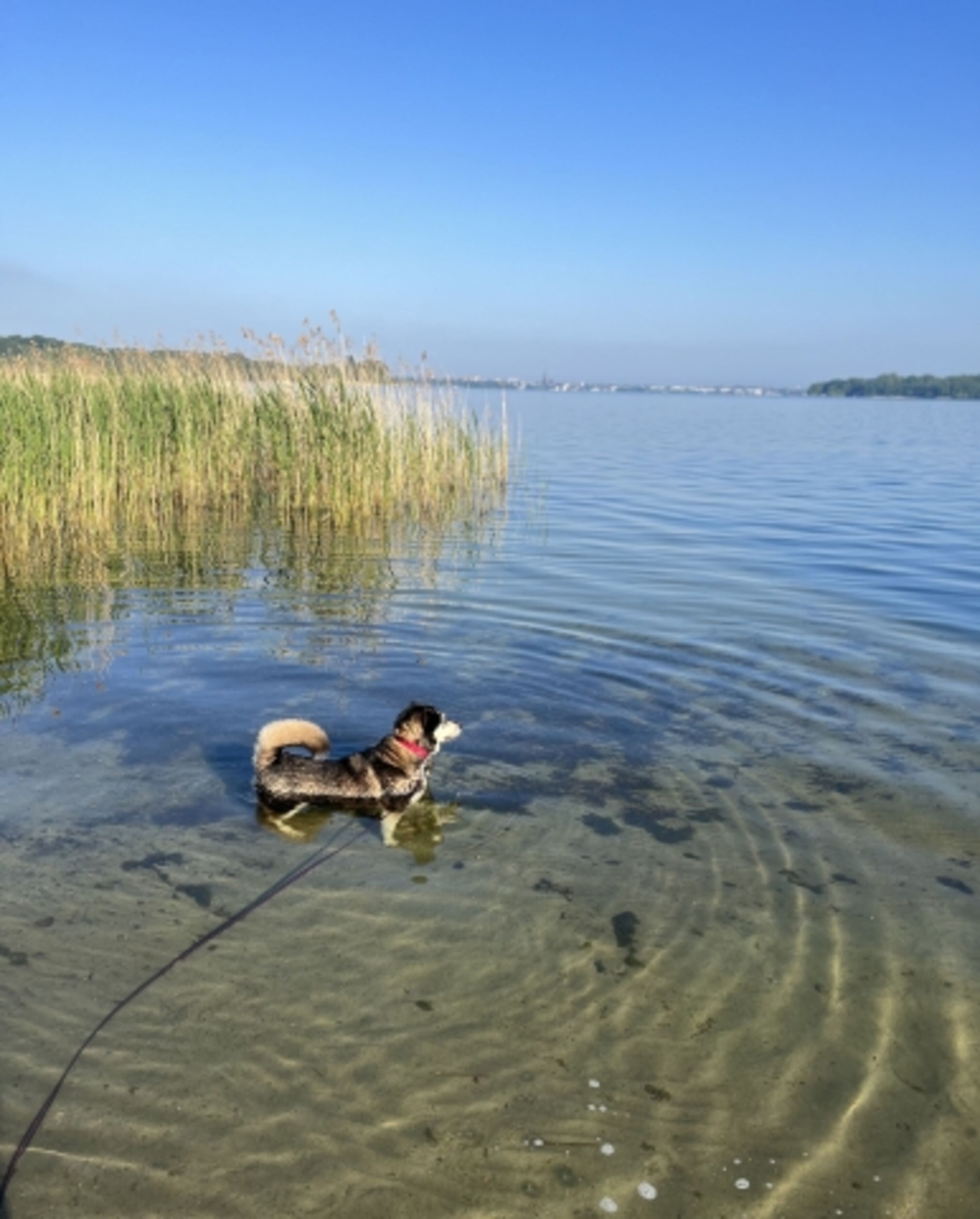 Schweriner See, 900m vom Ferienhaus entfernt 