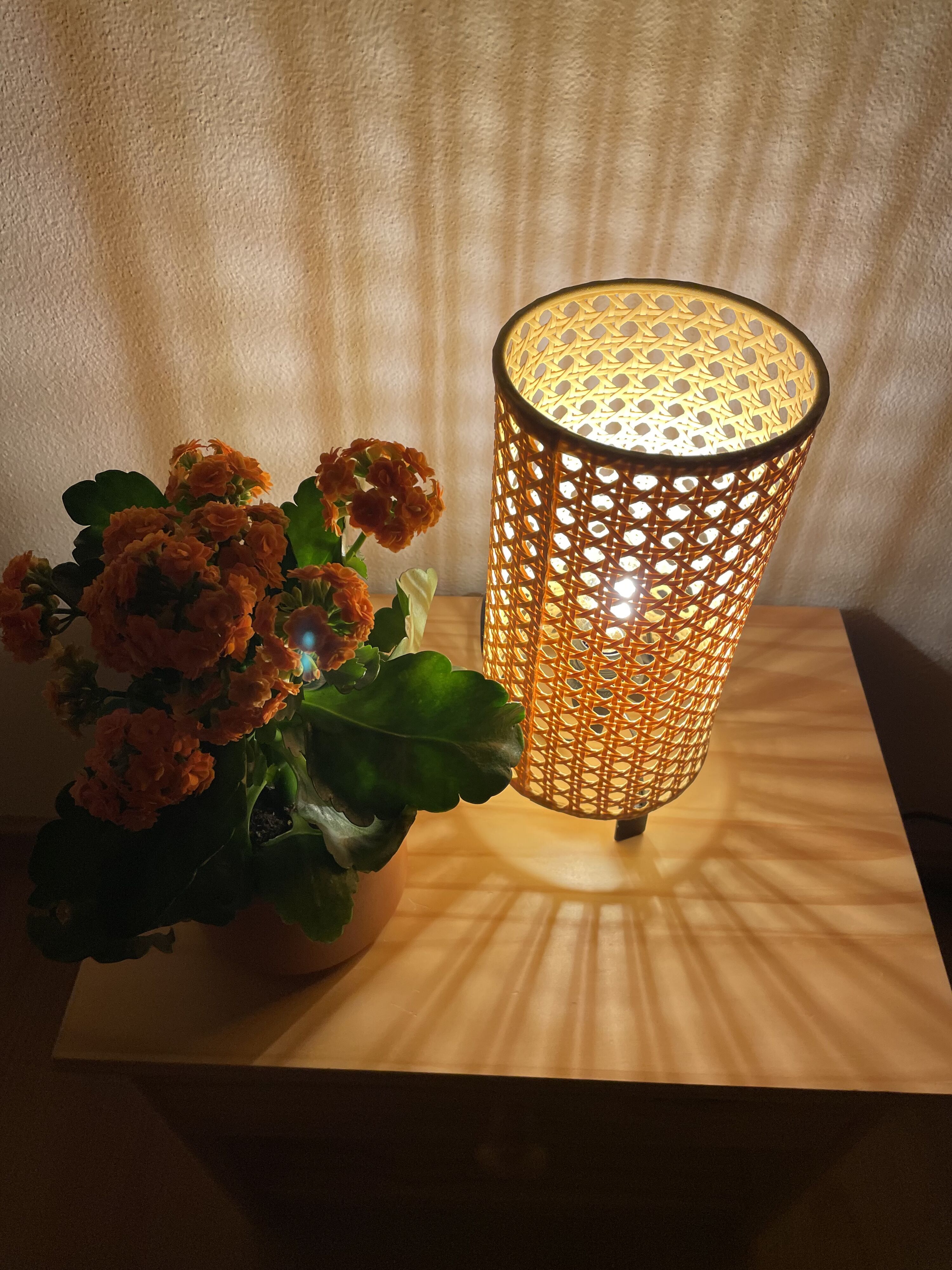 Bild 12
