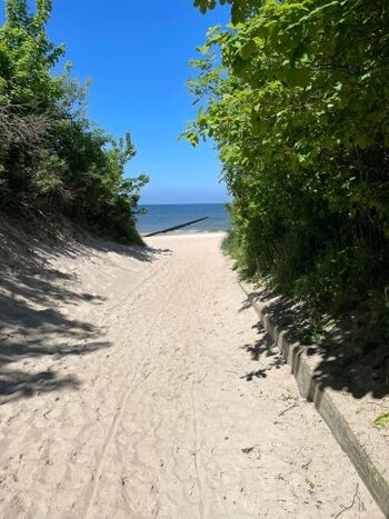 Strandzugang (Hundestrand)