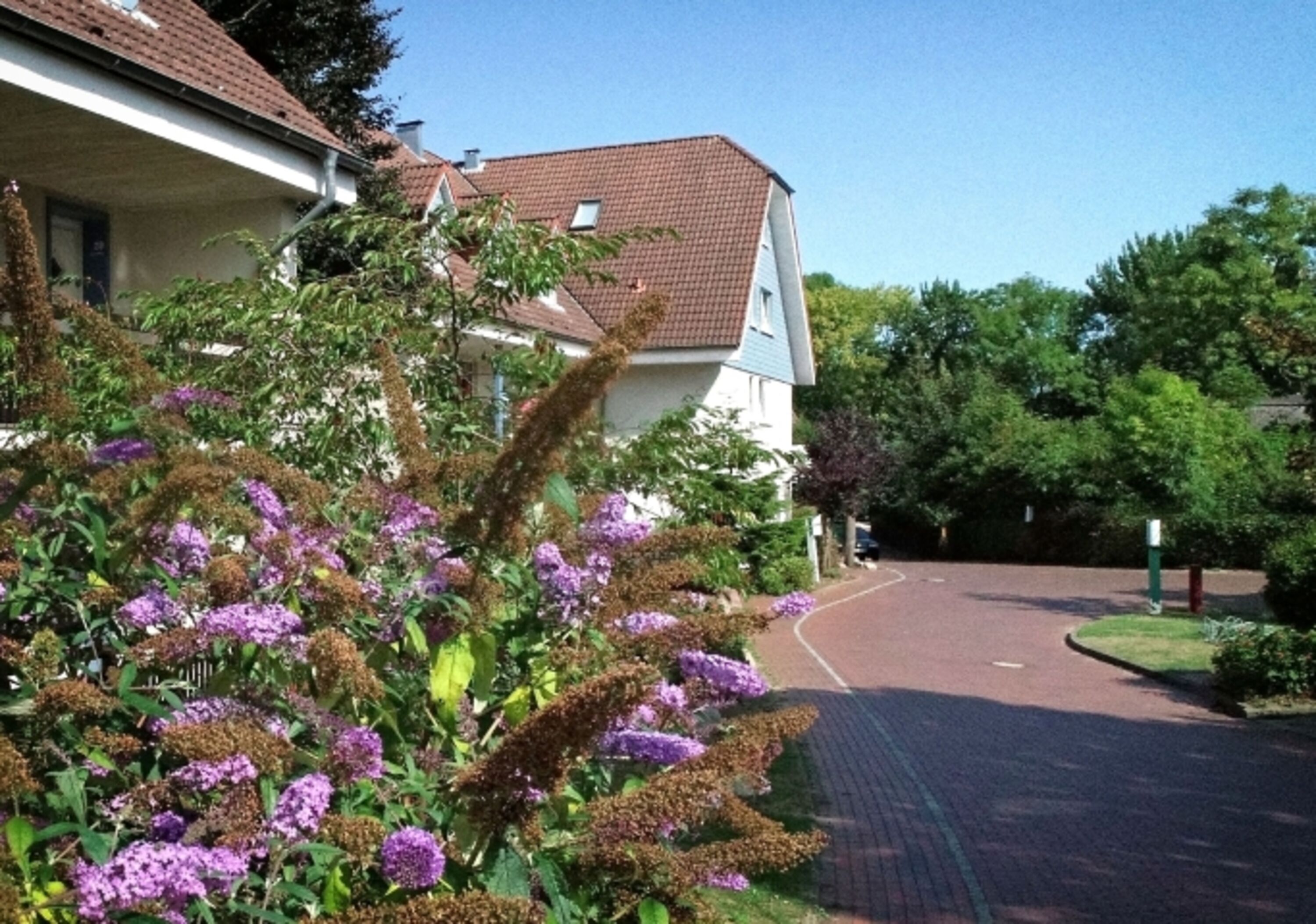 Bild 12