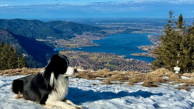 Blick auf den Tegernsee vom Wallberg aus