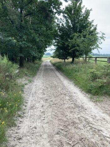 Wanderweg hinter dem Hofgelände
