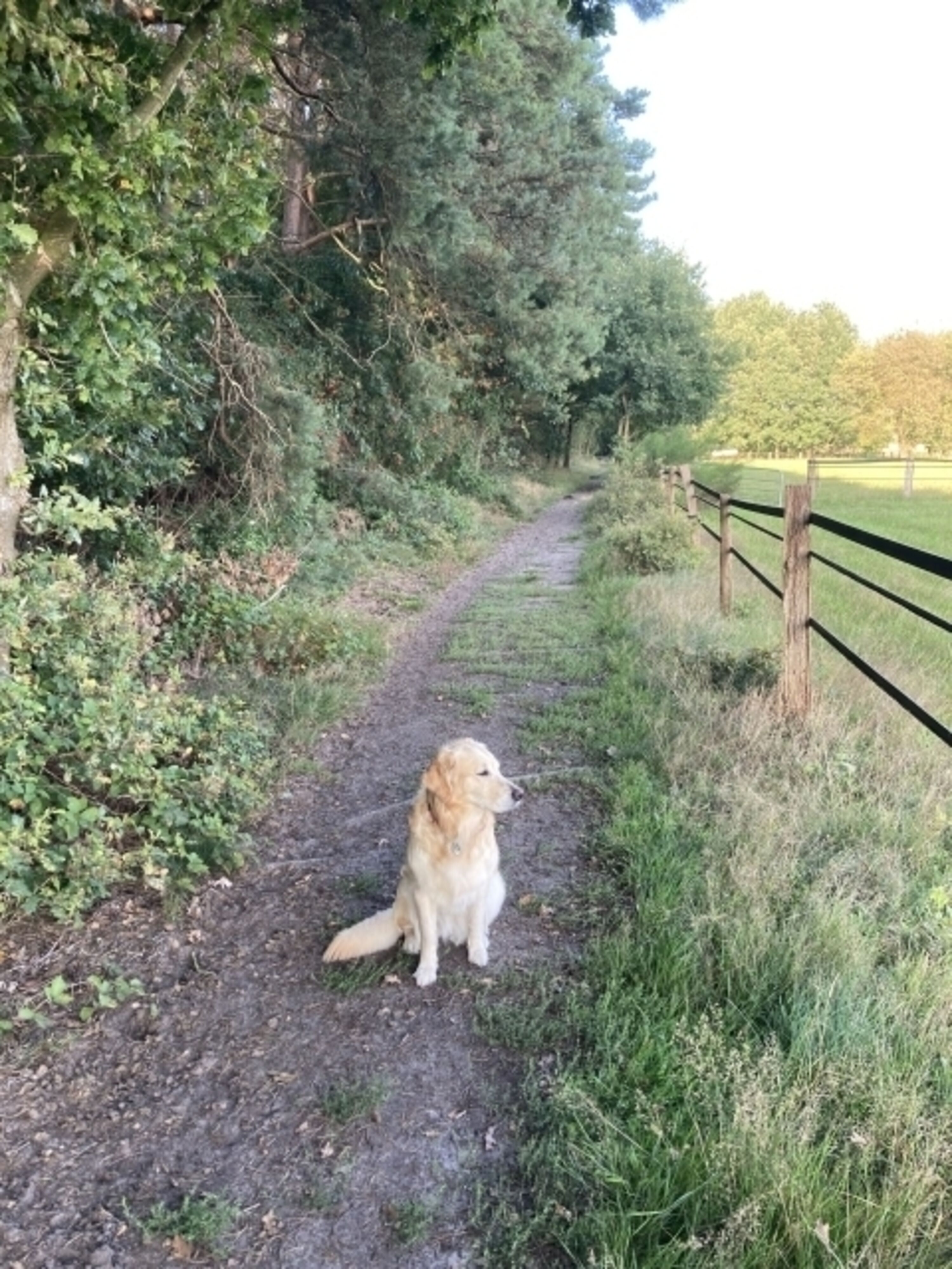 Wanderwege