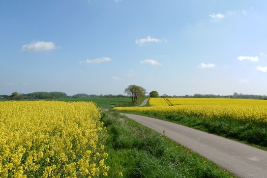 Radwege durch die Hügellandschaft