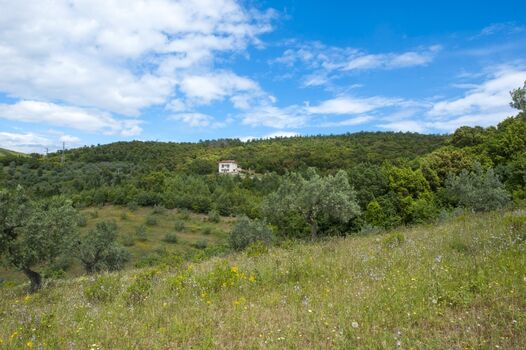 Umrandet von der Natur erwartet Sie Ihr Feriendomizil in der Toscana...