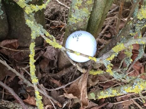 Golfplatz nur 10 Autominuten entfernt