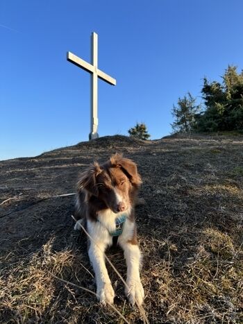 Gipfelkreuz Küpser Linde mit Panorama bis Bamberg