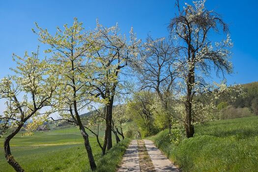 In 2 Minuten mitten in der Natur