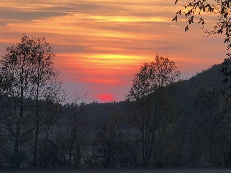 Ausflugsziel Küpser Linde 800 m hinterm Haus