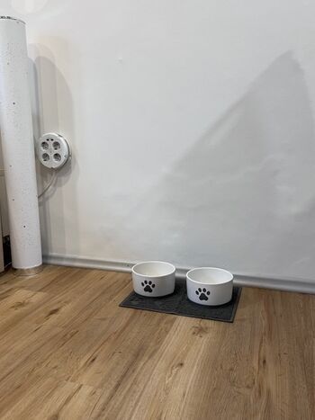 Detail Hundeaustattung