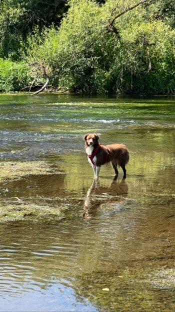 Wasserspielplätze in der Nähe