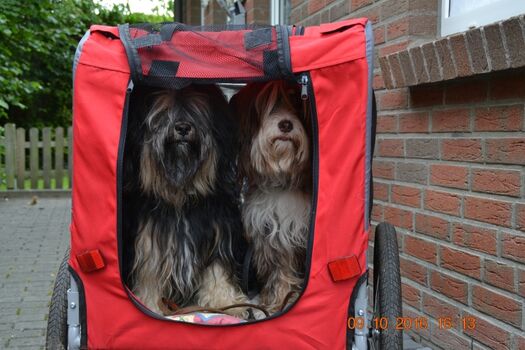 mit dem Fahrrad die Gegend erkunden