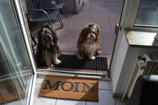 Moin und hereinspaziert