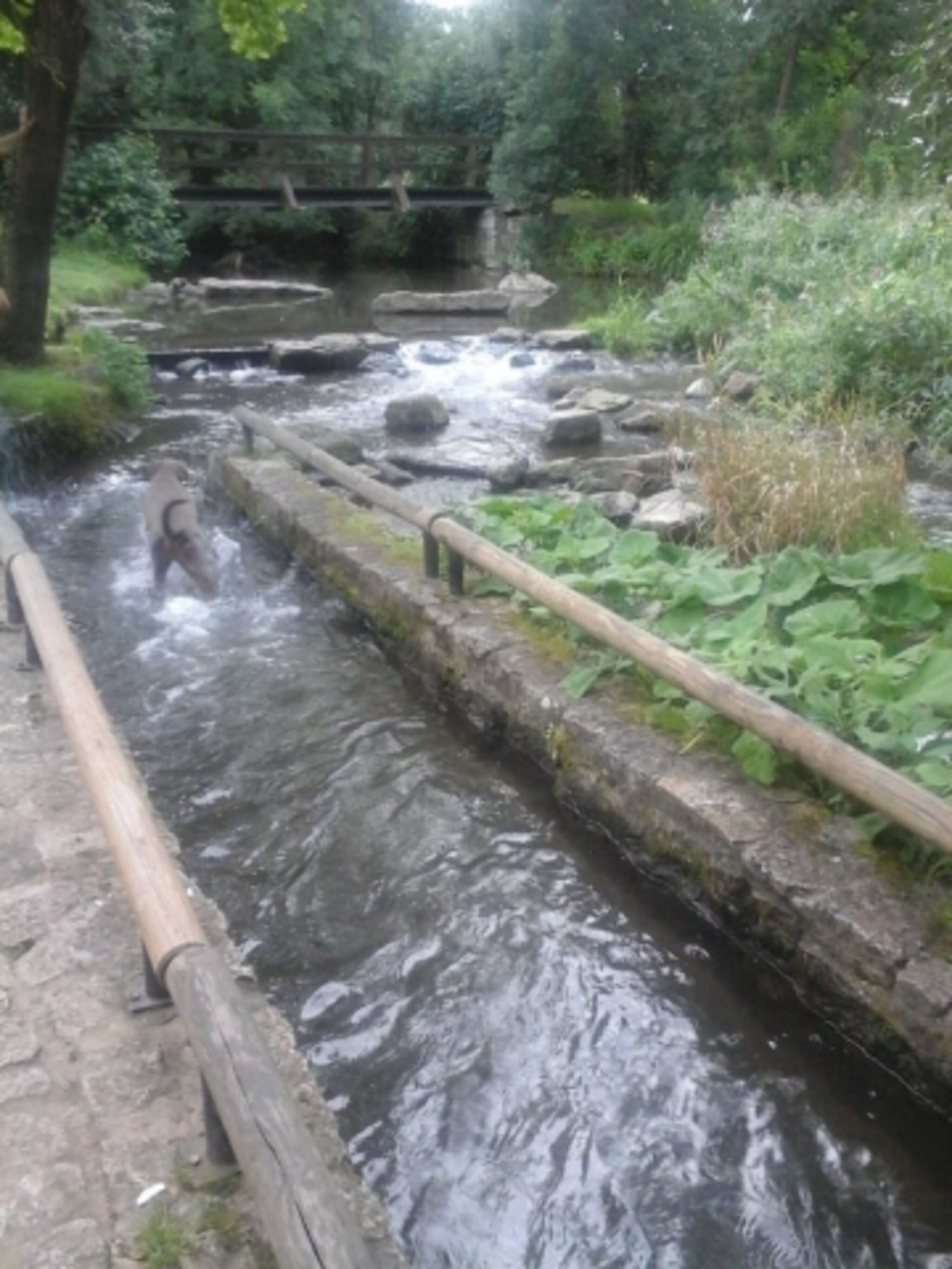 Tretbecken